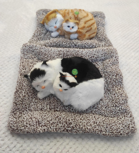 "Кошка с котенком" во Владимире