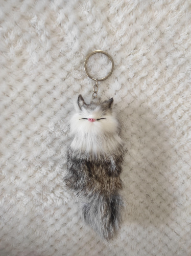 "Кот-брелок" во Владимире фото 6